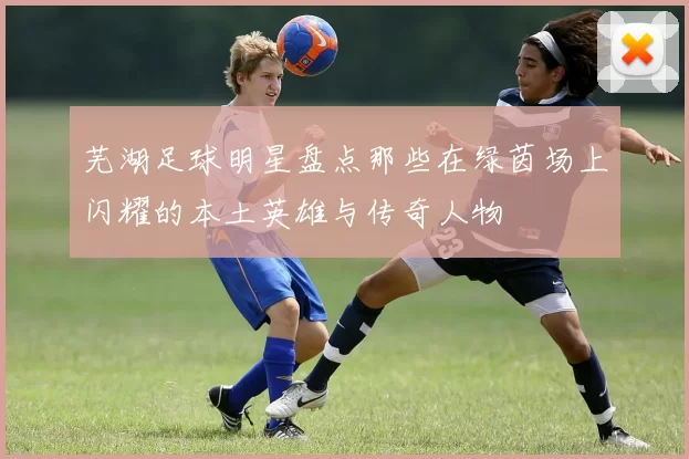 芜湖足球明星盘点那些在绿茵场上闪耀的本土英雄与传奇人物