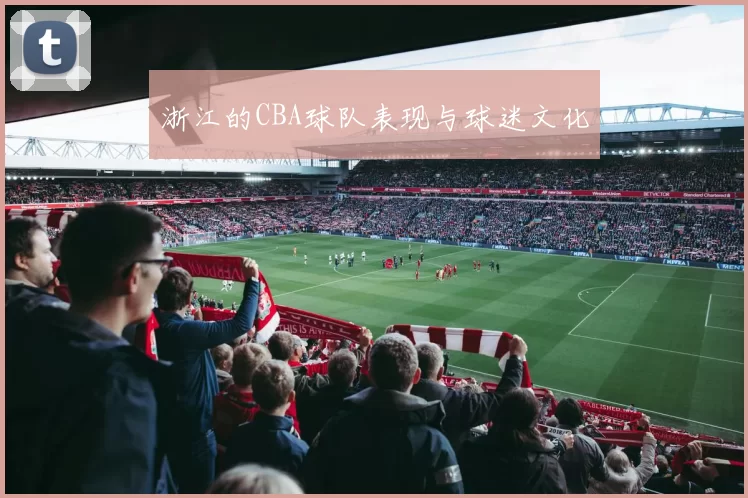 浙江的CBA球队表现与球迷文化