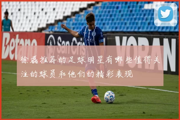 徐磊推荐的足球明星有哪些值得关注的球员和他们的精彩表现