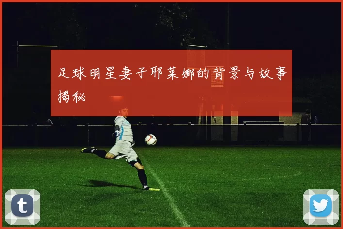 足球明星妻子耶莱娜的背景与故事揭秘