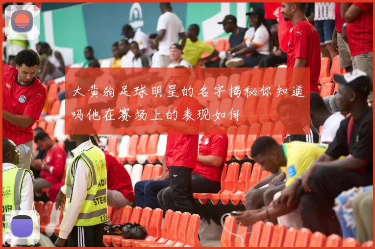 大黄狗足球明星的名字揭秘你知道吗他在赛场上的表现如何