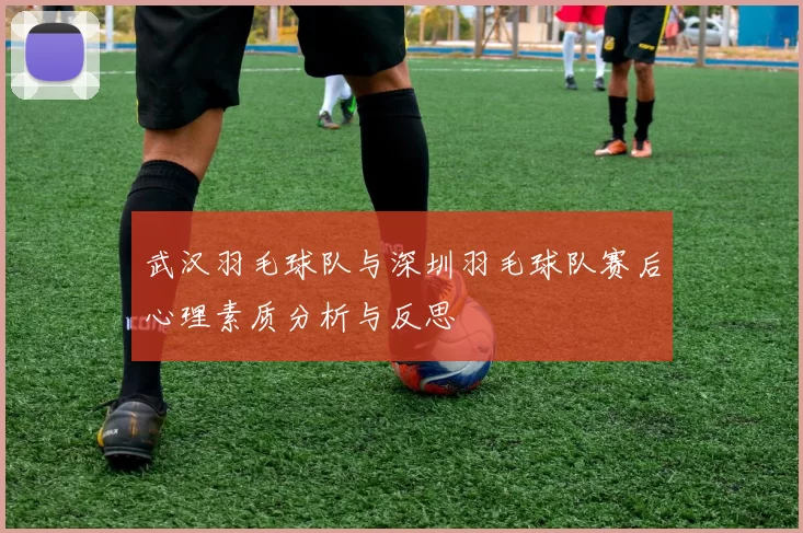武汉羽毛球队与深圳羽毛球队赛后心理素质分析与反思