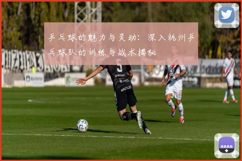 乒乓球的魅力与灵动：深入杭州乒乓球队的训练与战术揭秘