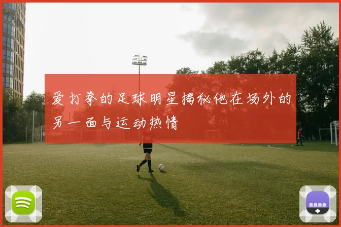 爱打拳的足球明星揭秘他在场外的另一面与运动热情