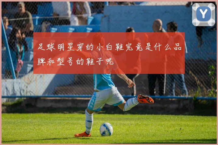 足球明星穿的小白鞋究竟是什么品牌和型号的鞋子呢