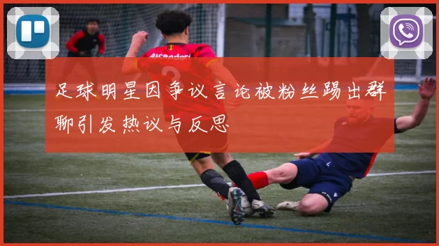 足球明星因争议言论被粉丝踢出群聊引发热议与反思