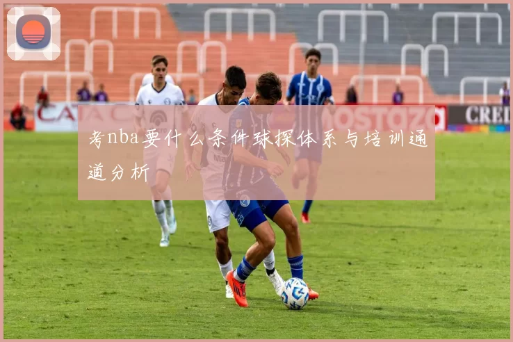 考nba要什么条件球探体系与培训通道分析