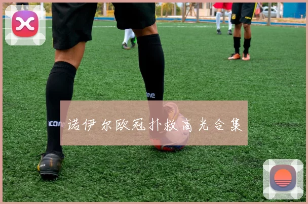 诺伊尔欧冠扑救高光合集