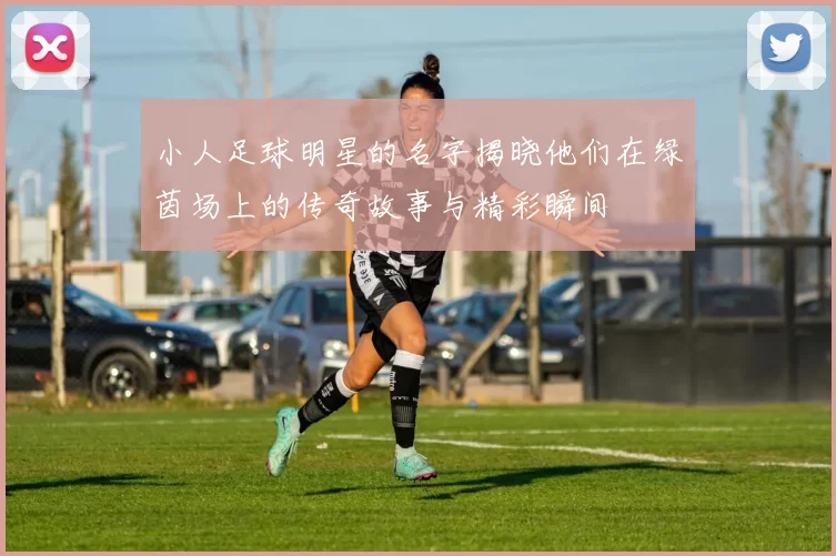 小人足球明星的名字揭晓他们在绿茵场上的传奇故事与精彩瞬间