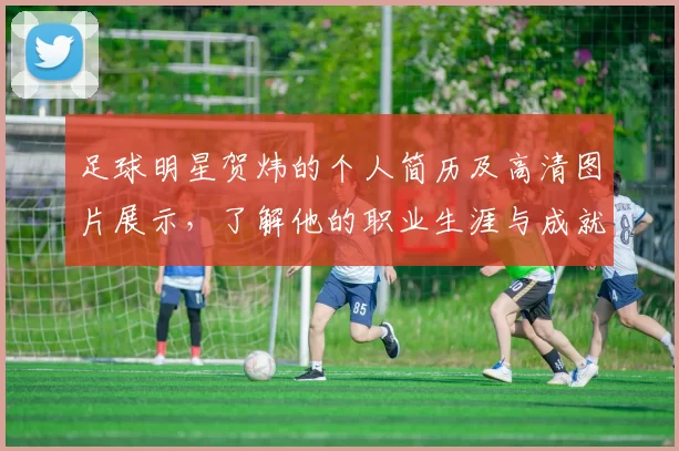 足球明星贺炜的个人简历及高清图片展示，了解他的职业生涯与成就