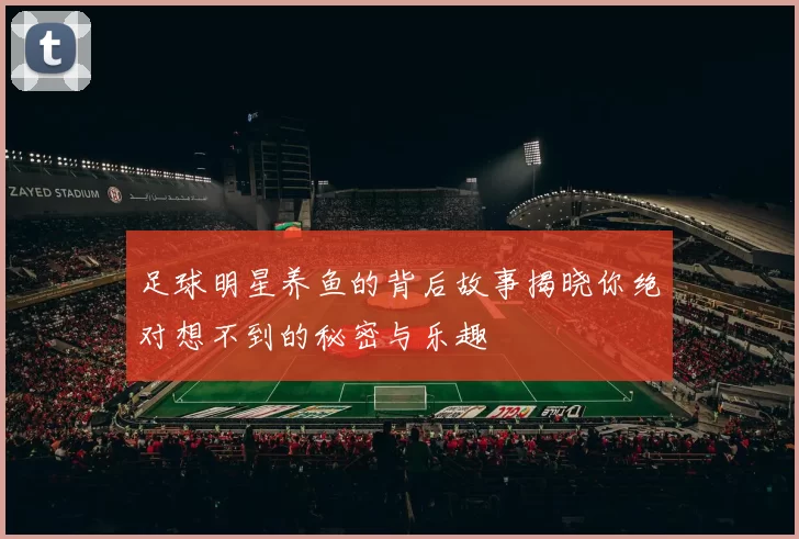 足球明星养鱼的背后故事揭晓你绝对想不到的秘密与乐趣