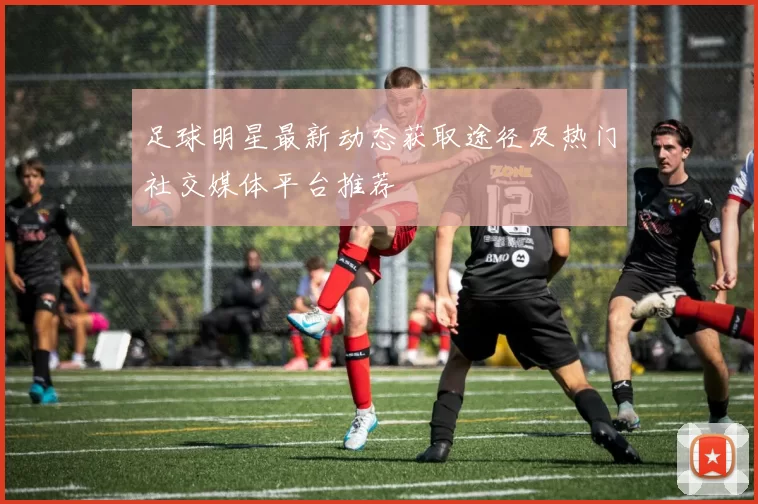 足球明星最新动态获取途径及热门社交媒体平台推荐