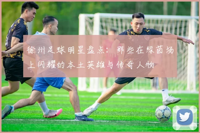 徐州足球明星盘点：那些在绿茵场上闪耀的本土英雄与传奇人物