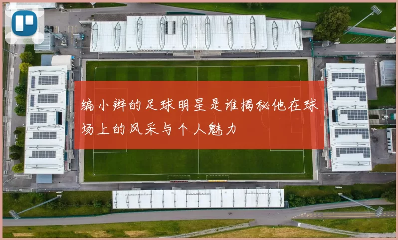 编小辫的足球明星是谁揭秘他在球场上的风采与个人魅力