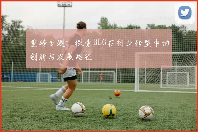 重磅专题：探索BLG在行业转型中的创新与发展路径