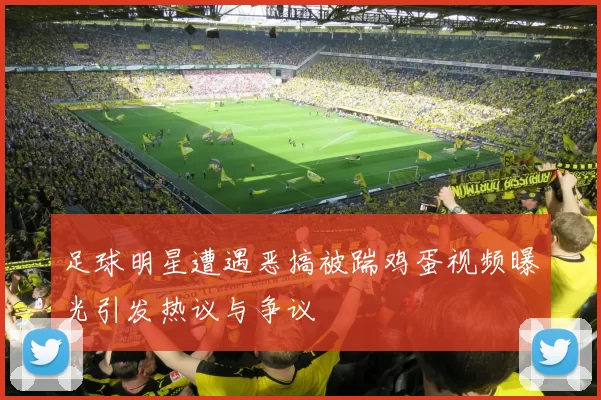 足球明星遭遇恶搞被踹鸡蛋视频曝光引发热议与争议