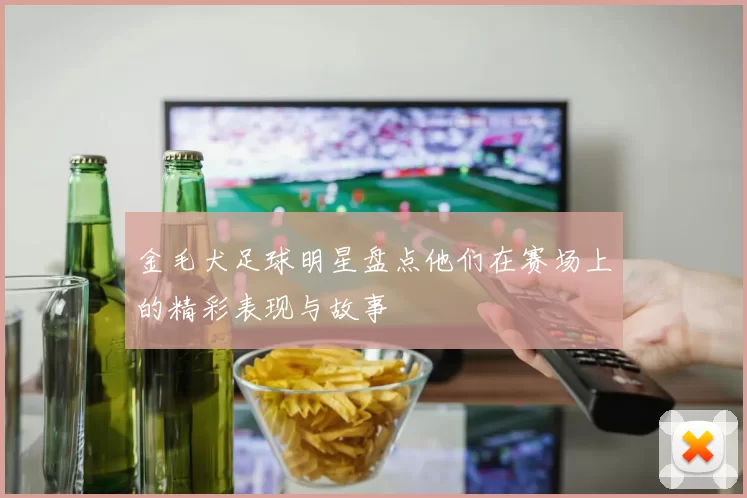 金毛犬足球明星盘点他们在赛场上的精彩表现与故事