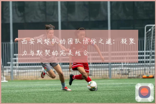 西安网球队的团队协作之道：凝聚力与默契的完美结合