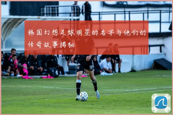 韩国幻想足球明星的名字与他们的传奇故事揭秘