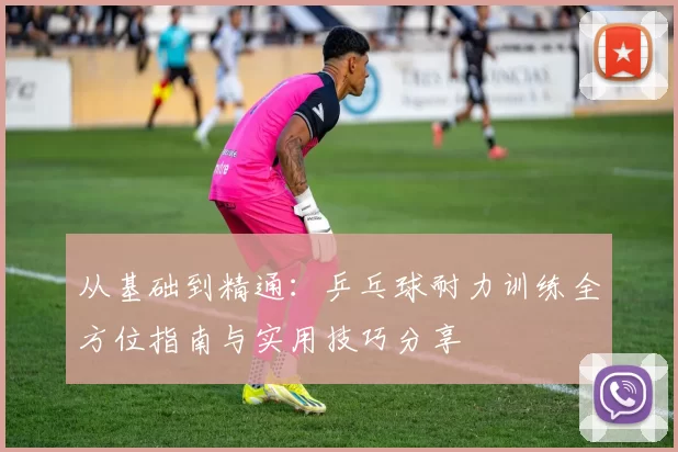 从基础到精通：乒乓球耐力训练全方位指南与实用技巧分享