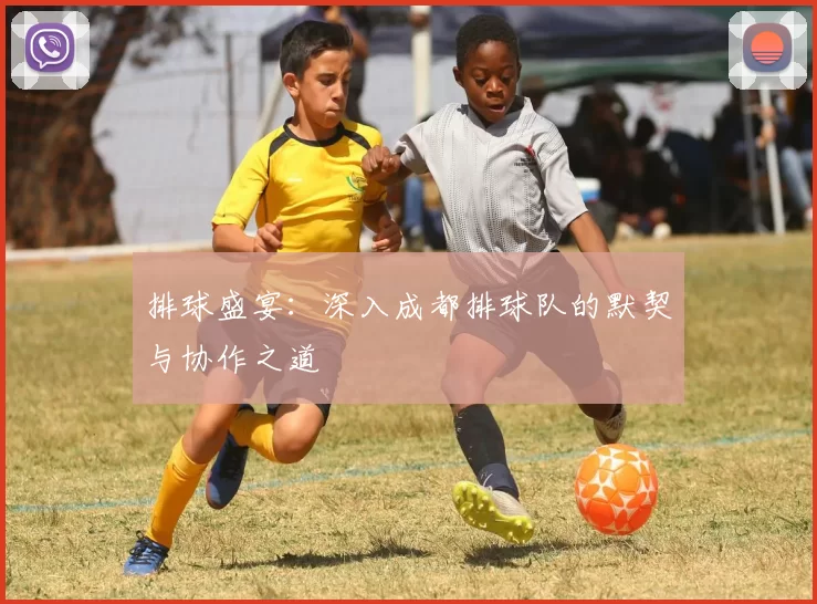 排球盛宴：深入成都排球队的默契与协作之道