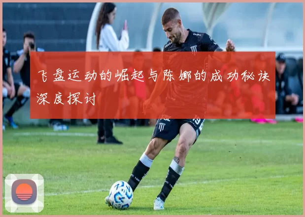 飞盘运动的崛起与陈娜的成功秘诀深度探讨