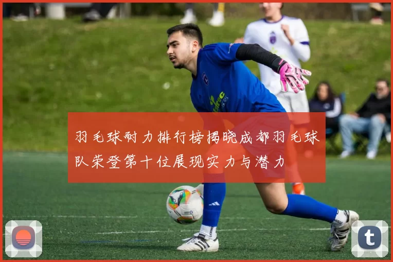 羽毛球耐力排行榜揭晓成都羽毛球队荣登第十位展现实力与潜力
